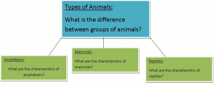 Concept Map Types Of Animals